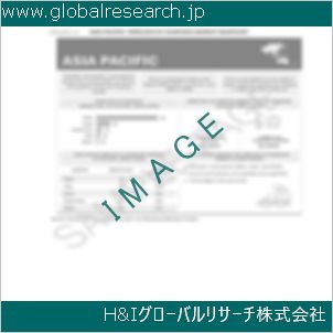 グローバルリサーチ調査資料のイメージ